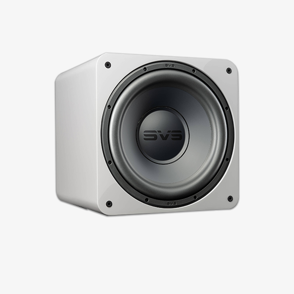 SVS -1000 PRO